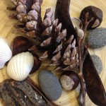 Nature sort game