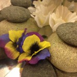 Rocks, flowers, and reflections