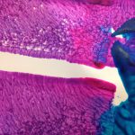 Sponge painting